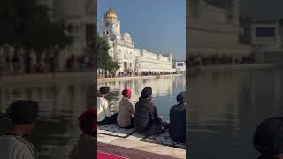 Golden temple | Visited Golden Temple🙏🤗 #goldentemple #amritsar #waheguru #waheguruji #shorts