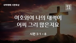 [왕림교회]새벽예배_2025.1.15(수)_실시간방송