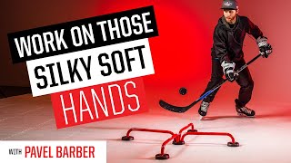 Pavel Barber Training With HockeyShot’s Edge Dangler