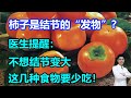 柿子是结节的“发物”？医生提醒：不想结节变大，这几种食物要少吃！#李医生谈健康