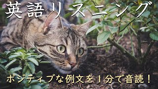 【ポジティブ例文１分だけ】超速英語リスニング_240421