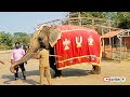 elephant blessings in dwaraka tirumala chinna tirupati