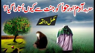 Hazrat Adam AS Aur Bibi Hawa AS Ko Jannat Se Q Utara Gaya - Story of Prophet Adam & Eve in Urdu