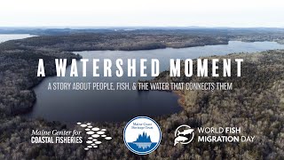 A Watershed Moment Trailer