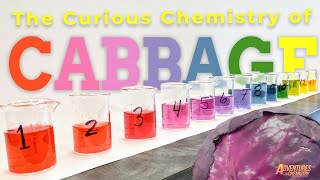 Adventures in Chemistry: Why cabbage is a pH indicator