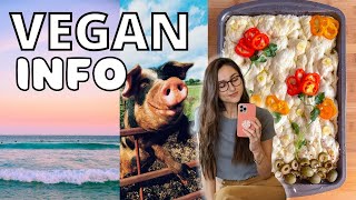 MOTIVATION TO STAY VEGAN ☀️ Recipes, Facts, and Long Term Health 🌱