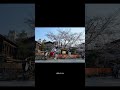 kyoto 旅行推荐官 氛围感 日本旅游 日本司导 包车服务 成年人的权衡利弊是爱吗 创作灵感 情感共鸣