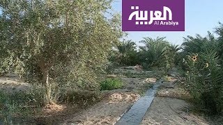 العربية معرفة: هكذا استوطن البشر منذ القدم