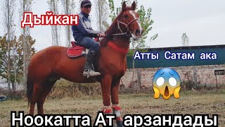 Базар Баасында Арзан Ат  Улагы Таамай