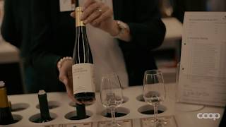 Fiere dei vini Mondovino