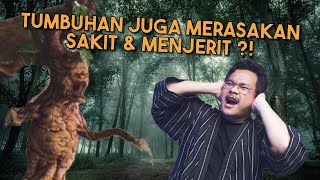 Ternyata, Tumbuhan Menjerit Ketika Merasakan Sakit ?!