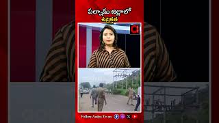 పల్నాడులో ఉద్రిక్తత ..High Tension in Palnadu District | YSRCP Ex MLA Namburu Sankara Rao | AADYA TV