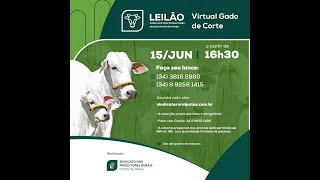 🐮54º Leilão Online - Sindicato Rural de Patos de Minas - 15/06/2021