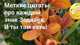 Меткие цитаты про каждый знак Зодиака. И ты там есть! / Знаки Зодиака Гороскоп Астрология Эзотерика