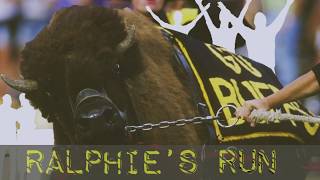 The Story Behind Colorado's Exhilarating Ralphie's Run | Traditions | Sports Illustrated