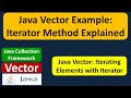 Java Vector Example: Iterator Method Explained | Java Collection Framework