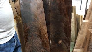 Very wide Claro walnut Crotch