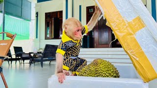 Bibi was curious when he first saw durian!