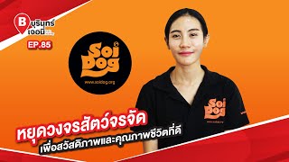 Soi Dog หยุดวงจรสัตว์จรจัดเพื่อสวัสดิภาพและคุณภาพชีวิตที่ดี