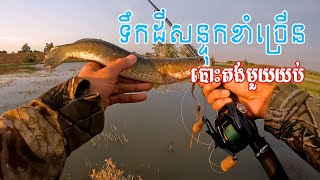 ជើងទី1 បោះតង់បបក់ត្រី តឹងដៃខ្លាំងណាស់​ ​🎣​ត្រីខាំច្រើន#fishing #kh #fishingcambodia #vloger