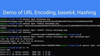 Demonstration of URL Encoding, Base64 and Hashing