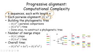Multiple Sequence Alignment