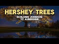 “Hershey Trees”- Schlong Johnson ft. YZ Aubergine (Money Trees GAY PARODY)