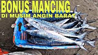 Mancing tenggiri di musim angin barat , full spun