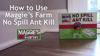 How to Use No Spill Ant Kill | Maggie's Farm