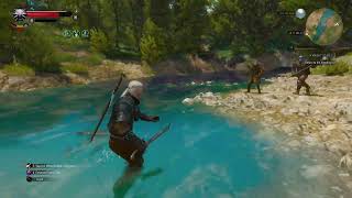 The Witcher 3: Wild Hunt - Complete Edition_20250107203513