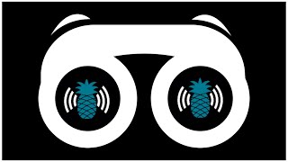 HTTPeek Module Tutorial | Let's Learn