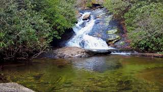 Hiking the Holcomb Creek Trail in Rabun County, Ga