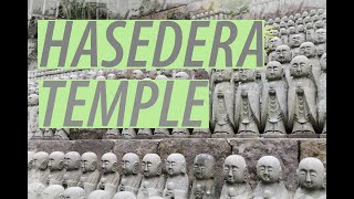 【4K】日本 HASEDERA TEMPLE, KAMAKURA, JAPAN 2020 GUIDE FOR FIRST TIME TRAVELERS