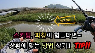 배스낚시 초보자 팁! 스키핑, 피칭이 힘들때 다른 방법! Bass Fishing