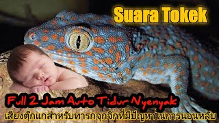 Suara Tokek  Seram Pengantar Bayi Susah Tidur Full 2 jam , the sound of a big Spooky Gecko in Bed