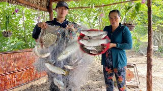 Chở Lại Chồi Mới Và Săn Bắt Nhiều Loại Cá, Với Bữa Cơm Mát Mẻ Còn Gì Bằng | Tập 95