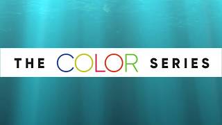 The Color Series by: ESHOPPS