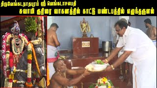 திருவேங்கடநாதபுரம் ஸ்ரீ வெங்கடாசலபதி கோவில் -சுவாமி குதிரை வாகனத்தில் காட்டு மண்டபத்தில் எழுந்தருளல்