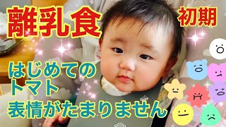 【生後６か月】離乳食はじめてのトマト💛表情が・・・💛