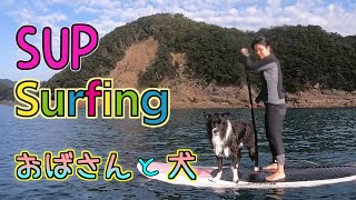 超小波のSUPサーフィン＆クルージング🌊ボーダーコリー犬とおばさん When It's Flat!