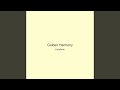 Golden Harmony