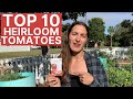 Best Heirloom Tomatoes to Grow in Your Organic Florida Vegetable Garden