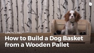 Pallet Ideas:Build a Dog Basket | Upcycling