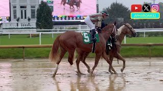 Kentucky Derby Contender American Promise First Start at Churchill Downs as a 2-Year-Old