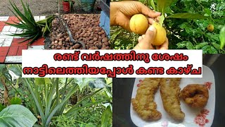 Day In My Life At My Home Town In Kerala/രണ്ട് വർഷത്തിനു ശേഷം നാട്ടിൽ എത്തിയപ്പോൾ കണ്ട കാഴ്ചകൾ.