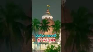 ସ୍ୱର୍ଗ ମର୍ତ୍ତ ପାତାଳ ର ଅଧିପତି କୋଟିଜନ ମଉଡମଣି ଶ୍ରୀ ଜଗନ୍ନାଥ l #jayjagannath #shorts #jagannath #blessed