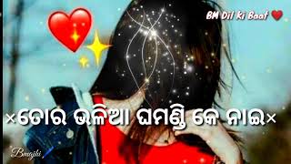 ଆରେ ଦରକାର ନାଇ ଆମେ ତୋ ଚାଷୀ ଘରର ପିଲା 🌾( New sambalpuri WhatsApp status video)