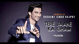 Tribute to Sushant Singh Rajput | Tere Jaane Ka Gham  By Pravin