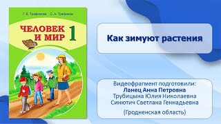 Тема 10. Как зимуют растения