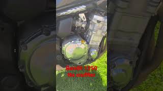 Bandit 1250 Update